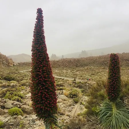 Casa Antonio - Orion Apartamento *