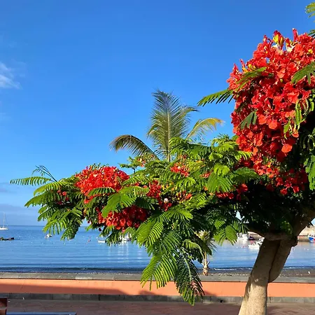 Casa Antonio - Orion * Playa de San Juan (Tenerife)