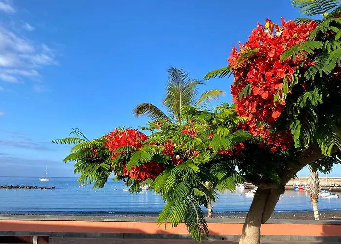Casa Antonio - Orion * Playa de San Juan (Tenerife)