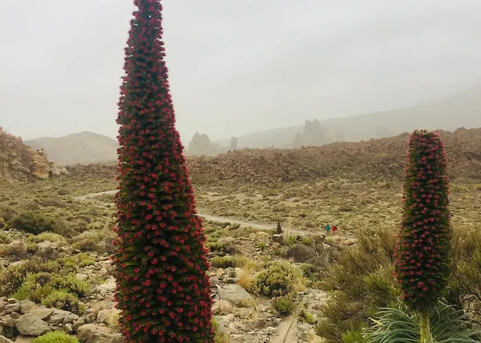 Casa Antonio - Orion Διαμέρισμα *